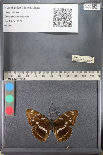 Media type: image;   Entomology 140669
